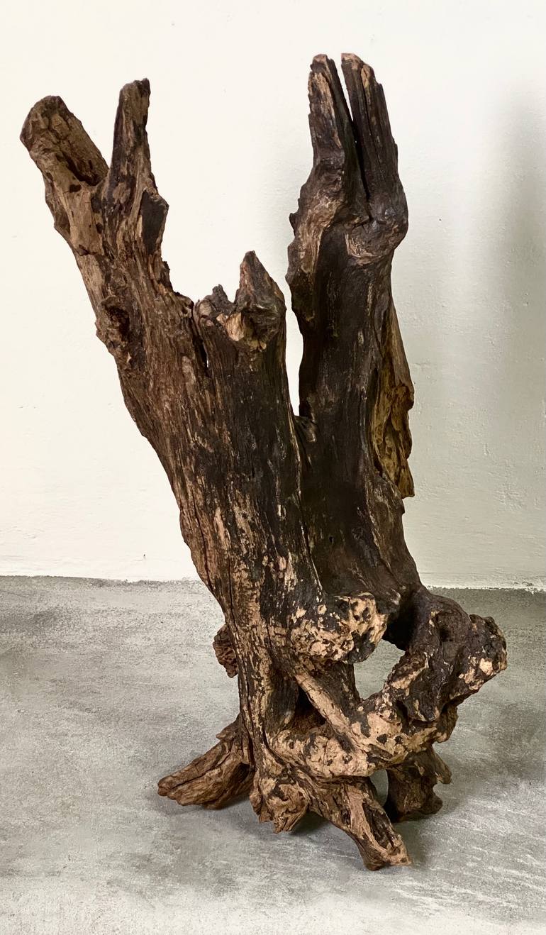 Original Minimalism Animal Sculpture by Leo Tataru
