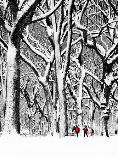 Central Park Winter Wonderland thumb