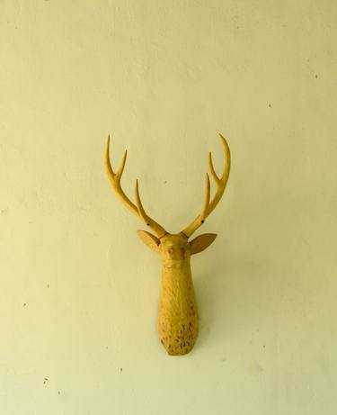 wooden handmade deer head with antarles thumb