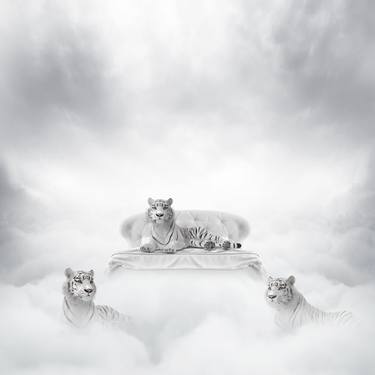 Original Fine Art Animal Collage by philip mckay