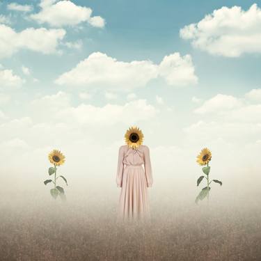 Original Floral Photography by philip mckay