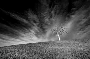 Original Landscape Photography by Giampaolo Antoni