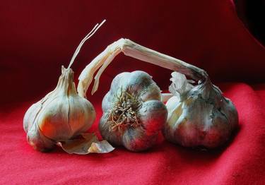 Print of Realism Food Photography by Day Williams