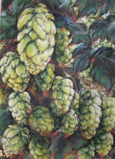 "Green wild hops in the red rays of the sun." Drawing with pastels. thumb