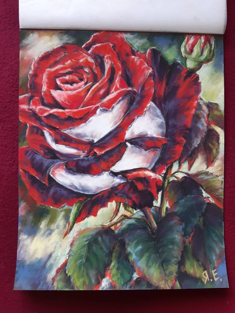 Pastel Rose  Ryman-Art LLC