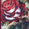view additional image 6