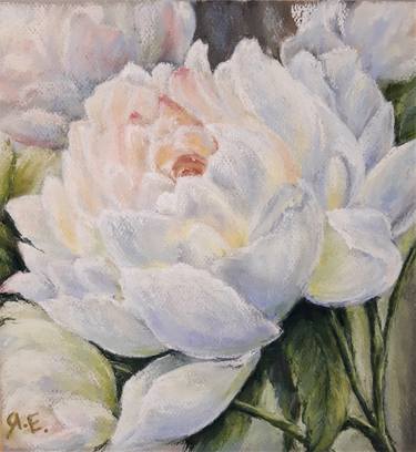 "WHITE PEONY", pastel drawing, flower thumb