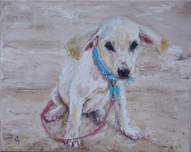 Original Dogs Paintings by Elena Petrova