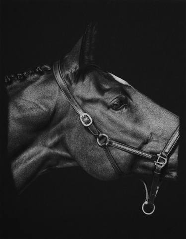 Print of Fine Art Animal Drawings by Chelsey Gertenbach