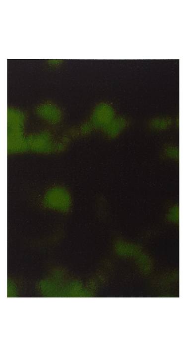 Original Abstract Expressionism Abstract Printmaking by Maison Ljodlist