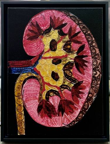 Paper quilled Human Kidney art print thumb