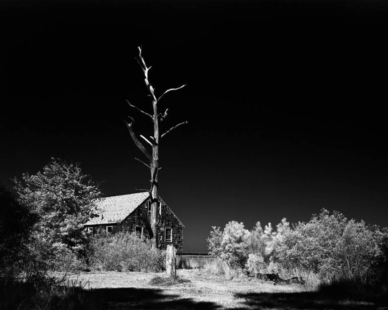 Original Other Landscape Photography by Jason Chan