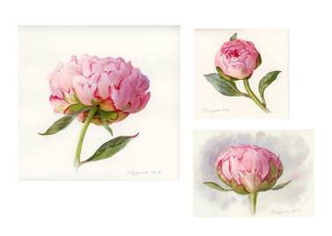 Original Realism Floral Paintings by Yulia Krasnov