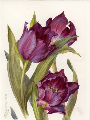 Dark tulips thumb
