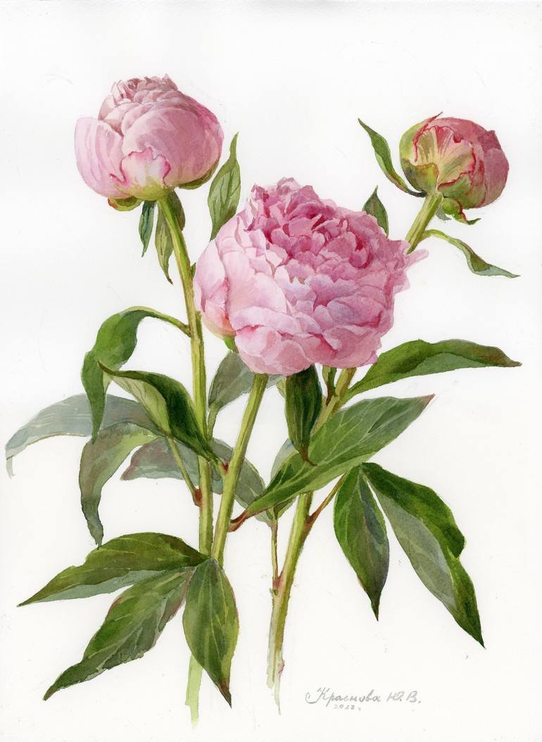 Peonies Painting by Yulia Krasnov | Saatchi Art