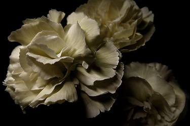 Original Figurative Floral Photography by Souls of the Ink