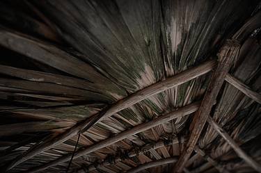 Roof, Palms and Hands thumb