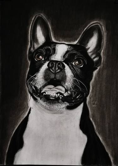 Print of Photorealism Animal Drawings by Loredana Leu