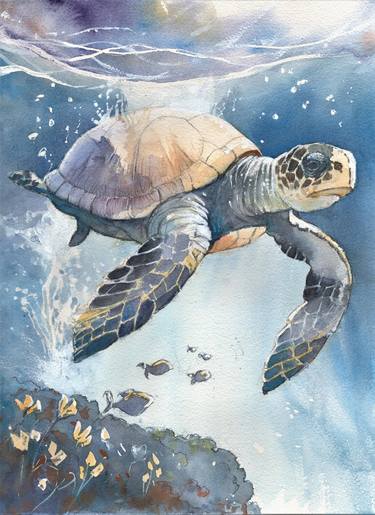 Sea Turtle - Florida thumb