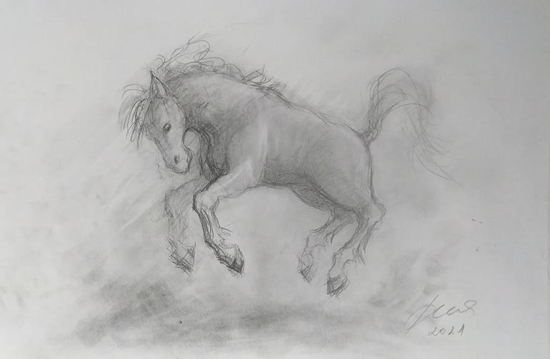 Original Fine Art Horse Drawing by Ne Znam