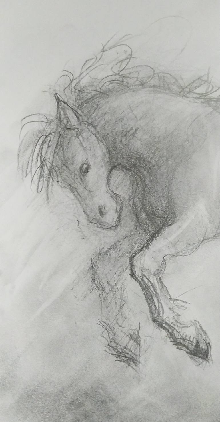 Original Other Horse Drawing by Ne Znam