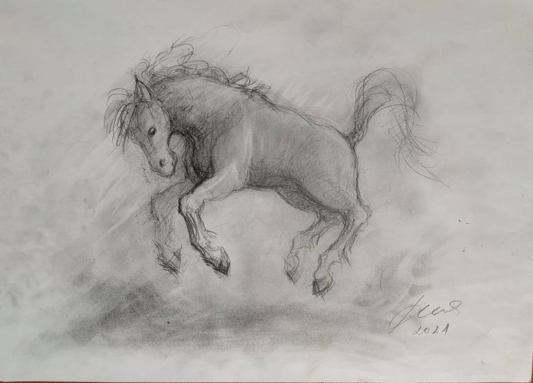Original Fine Art Horse Drawing by Ne Znam