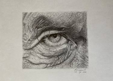 Original Realism People Drawings by Alexander Kaniuka