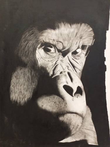 Monkey canvas art, Animal paintings on canvas, Original animal thumb