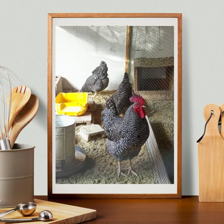 Original Figurative Animal Photography by Jafeth Moiane