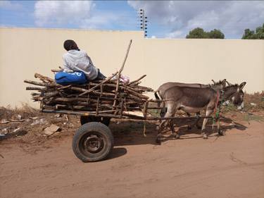 Donkey Cargo Photography - Limited Edition of 1 thumb