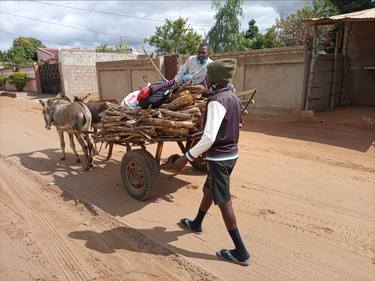 Donkey transport, African photo - Limited Edition of 1 thumb
