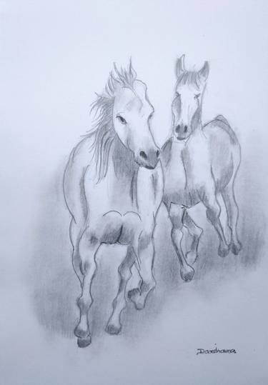 Print of Animal Drawings by Darshana Anandaprema