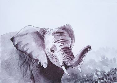 Elephant In The Jungle thumb
