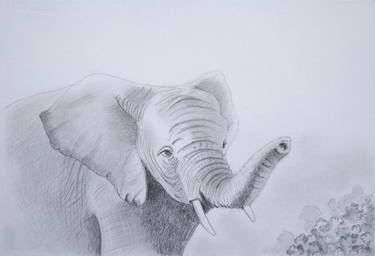 Elephant In The Jungle - Original Pencil Drawing thumb