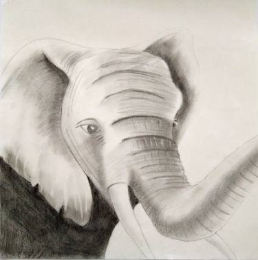 Print of Figurative Animal Drawings by Darshana Anandaprema