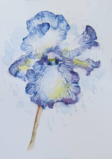 Iris Flower - Original Watercolor painting thumb