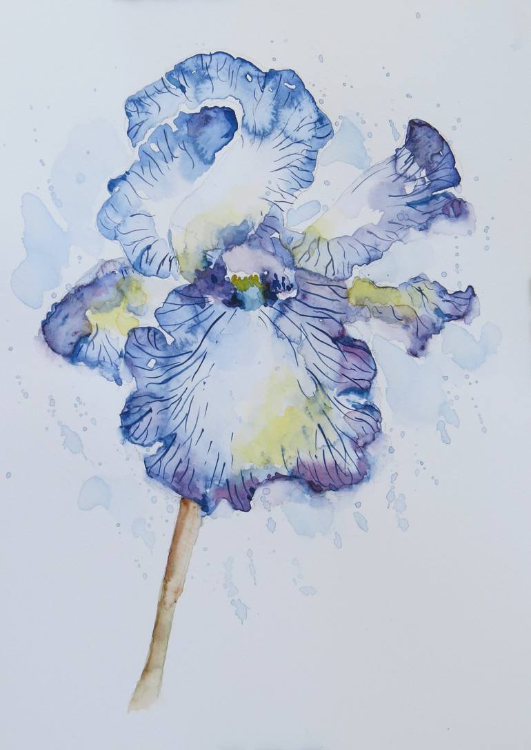 Iris Flower - Original Watercolor painting Painting by Darshana ...