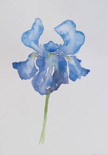 Iris Flower 2 - Original Watercolor painting thumb