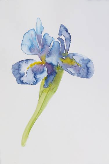 Iris Flower 3 - Original Watercolor painting thumb