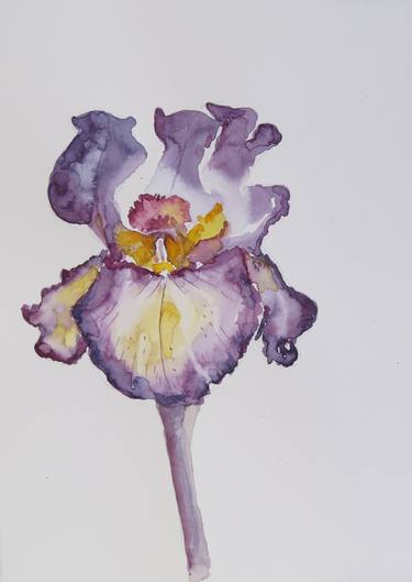 Iris Flower 6 - Original Watercolor painting thumb
