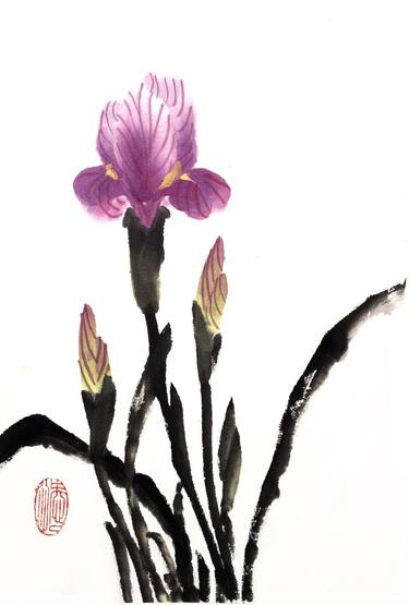 Petra Iris - Desert  Sand Irus - Oriental Chinese Ink thumb
