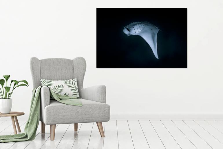 Original Documentary Nature Photography by David St Loh