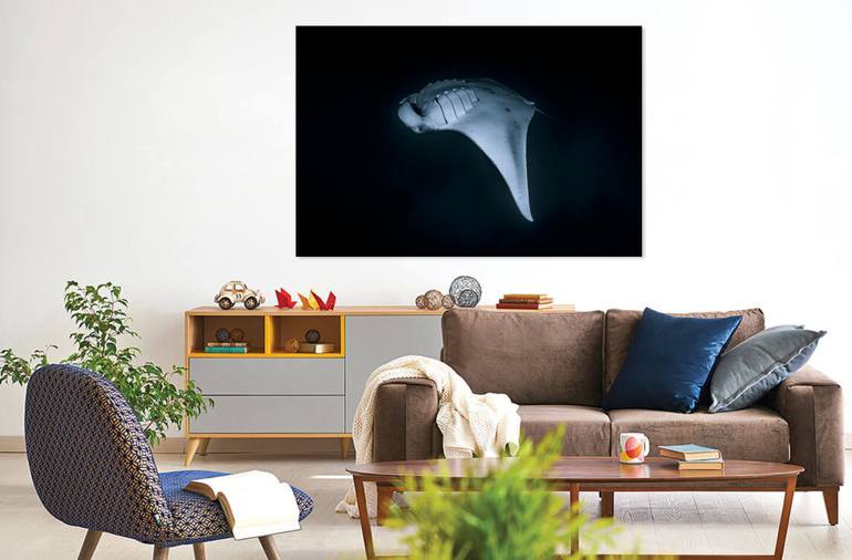 Original Documentary Nature Photography by David St Loh