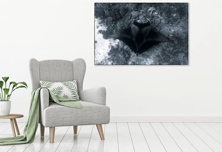 Original Documentary Nature Photography by David St Loh