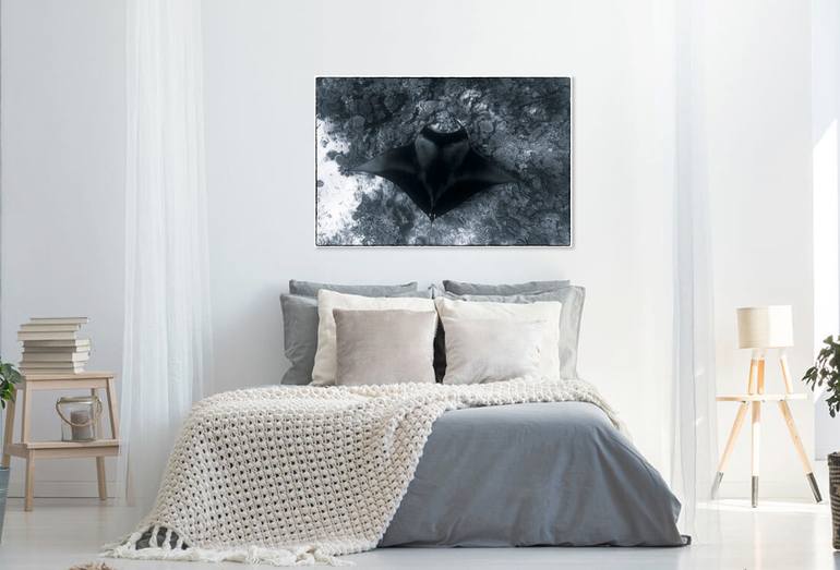 Original Documentary Nature Photography by David St Loh