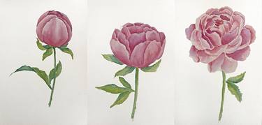 Original Fine Art Floral Paintings by Daria Ceppelli