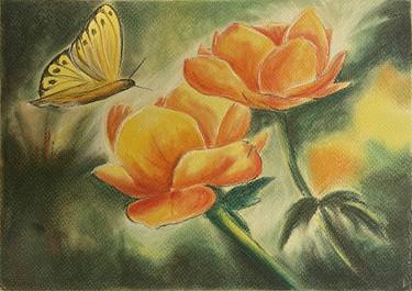 orange butterfly and flowers soft pastel thumb