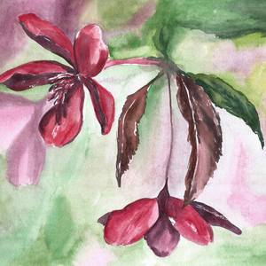 Collection watercolor flowers