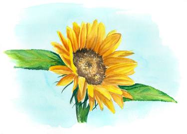Sunflower watercolor thumb