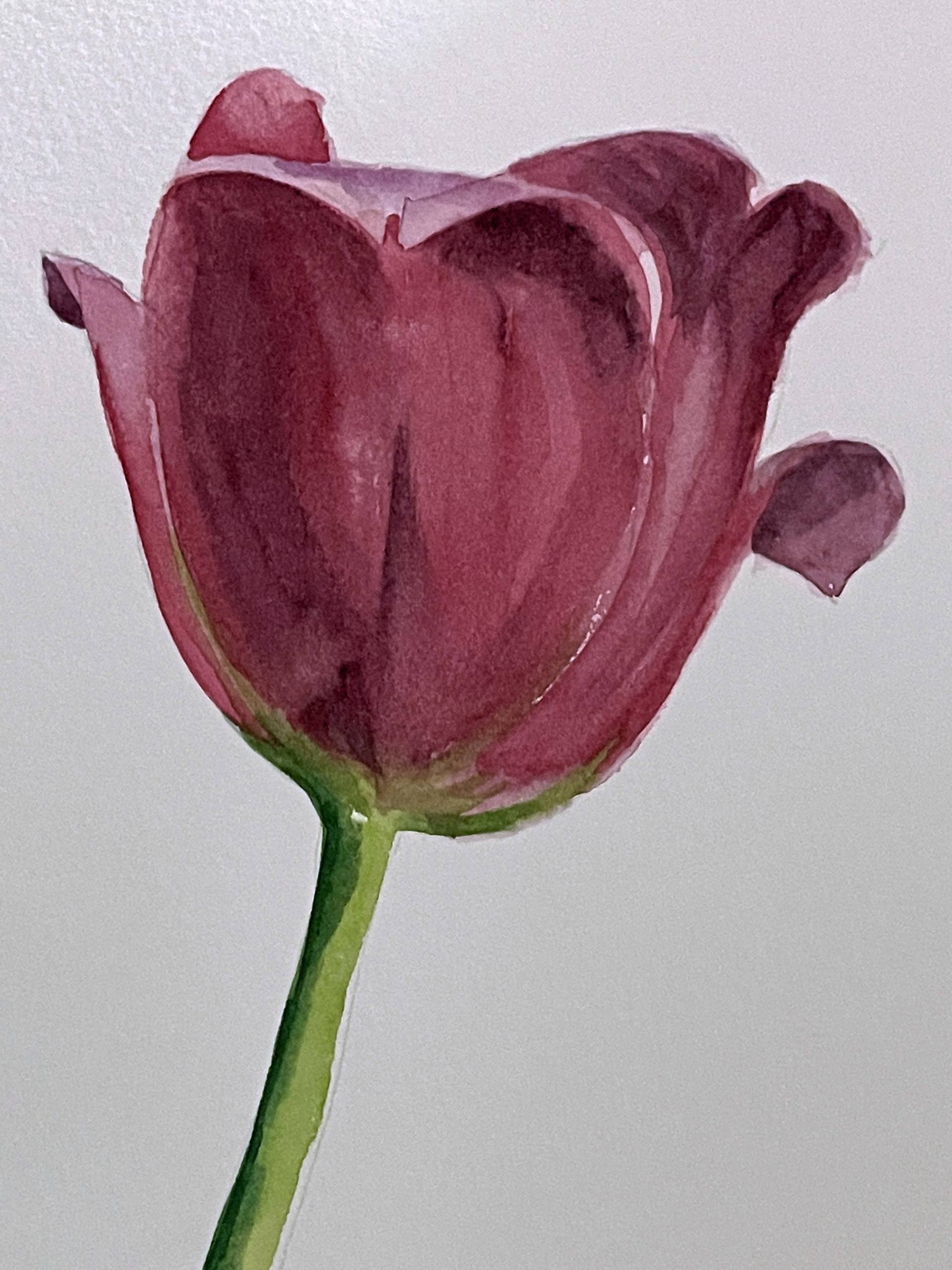 Tulip Painting Painting by Daria Ceppelli